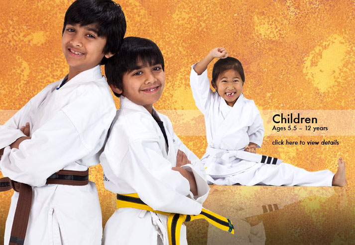 Martial Arts for Adults and Teens - East Montgomery Martial Arts